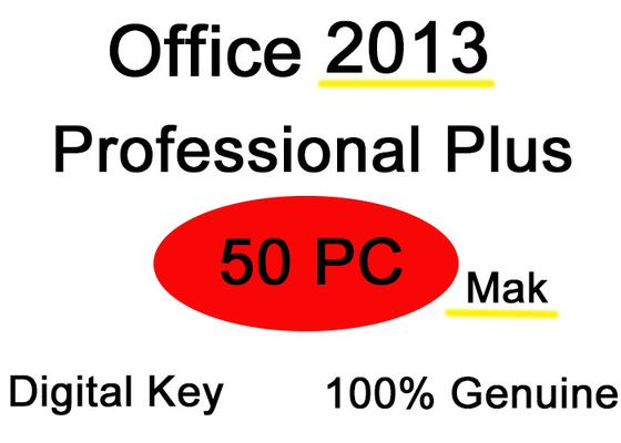 Licença 2013 do usuário da chave 50 do produto da Senhora Office de  da vida do e-mail